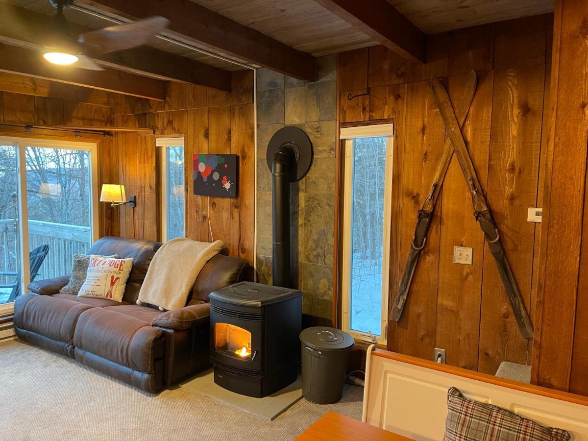 Mandy'S Mountain Chalet Dover Buitenkant foto